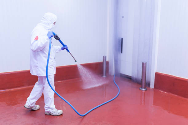 Best Playground Equipment Cleaning  in Glasgow, MT